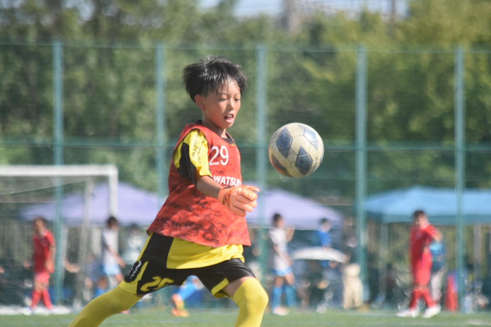 Refino CUP U-11