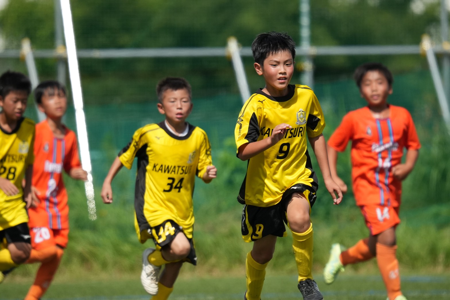 Refino CUP U-11