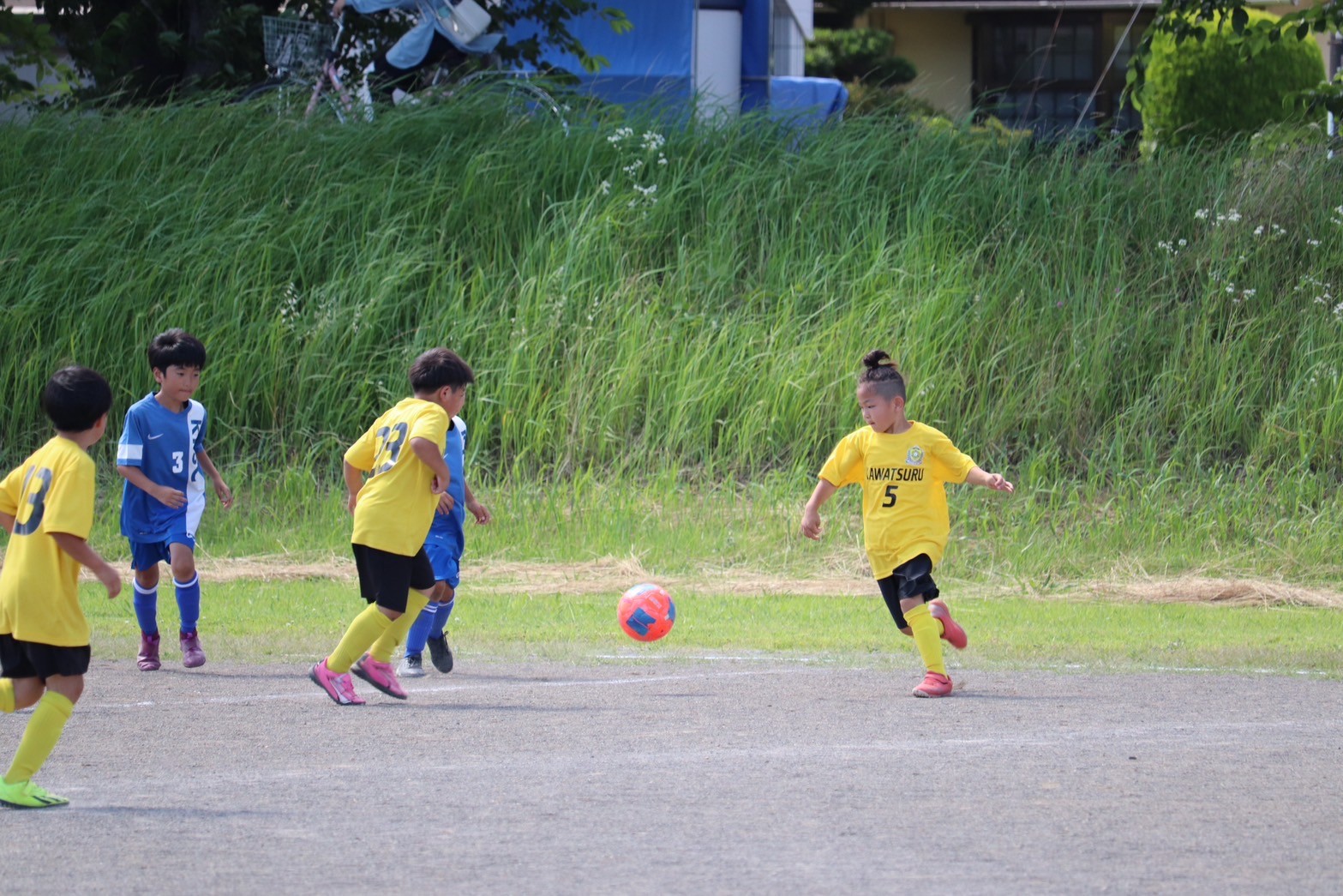 武蔵野ジュニア大会